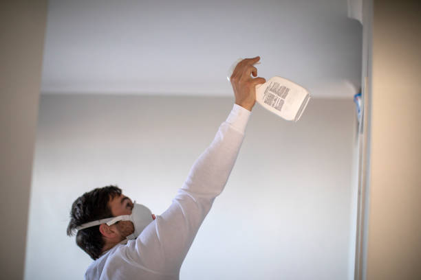 Best Fast Mold Removal  in Airport, CA