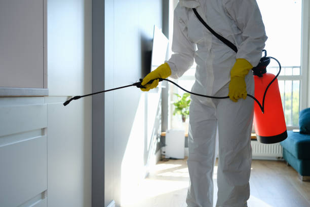 Best Mold Inspection  in Airport, CA