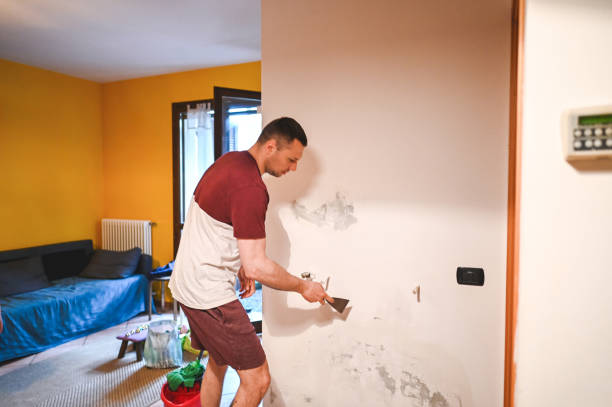 Best Mold Testing and Removal  in Airport, CA